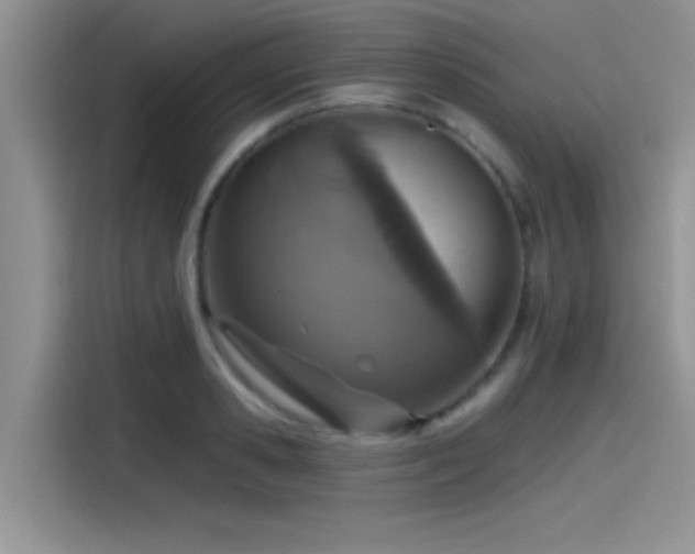 X0000115490941200911131233