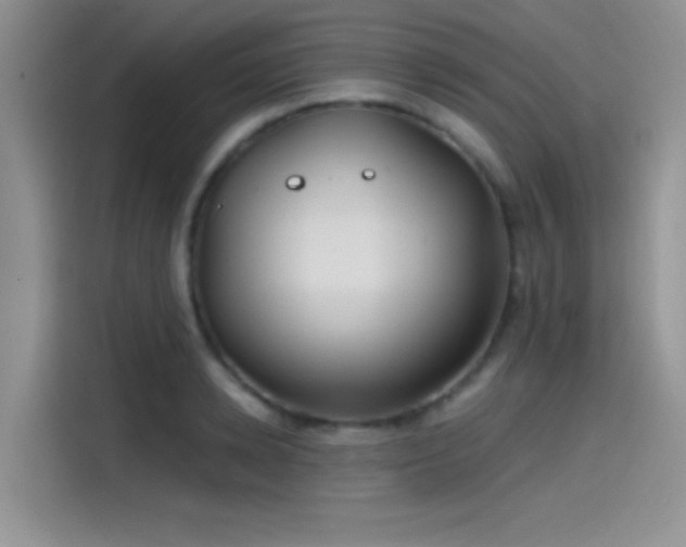 X0000115490942200911131233