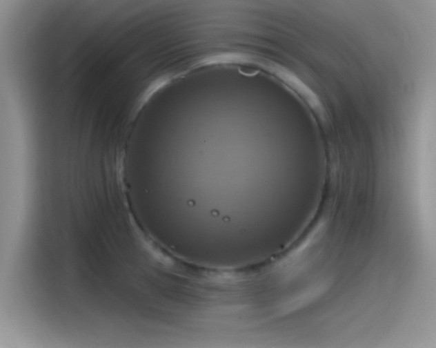 X0000115490945200911131233
