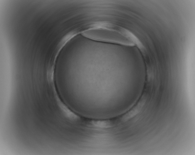 X0000115490946200911131233