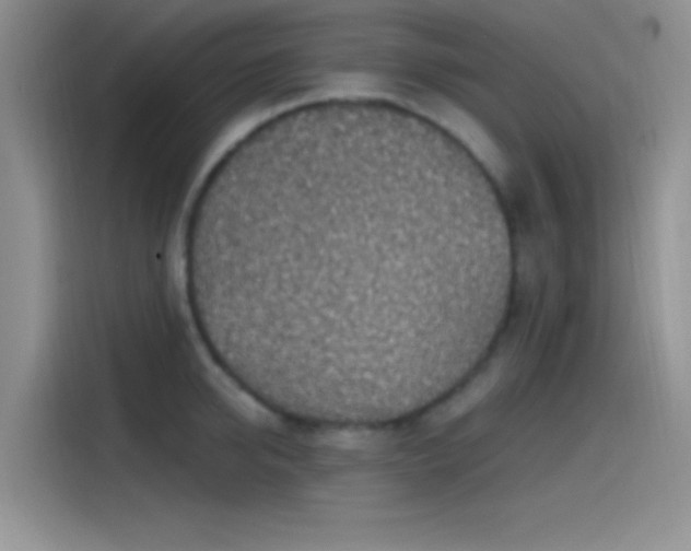 X0000115490950200911131233