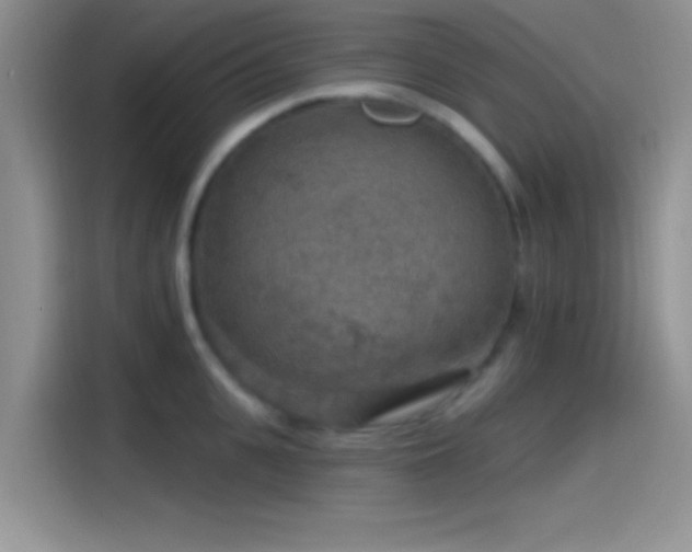 X0000115490951200911131233