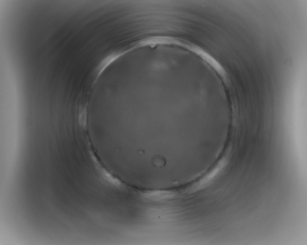X0000115490953200911131233