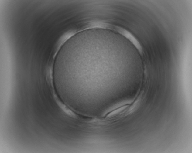 X0000115490954200911131233
