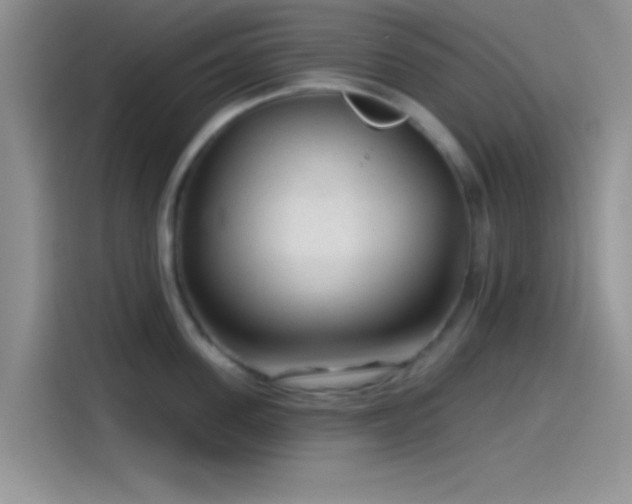 X0000115490955200911131233