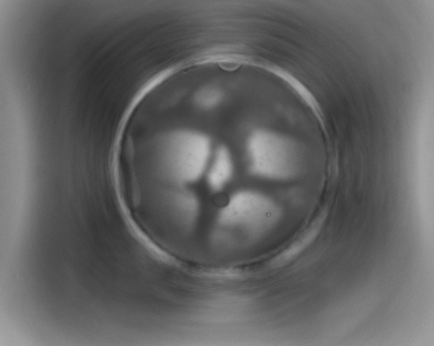 X0000115490957200911131233