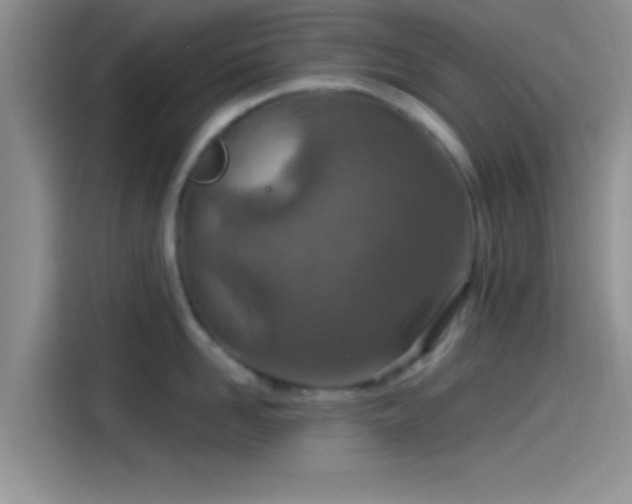 X0000115490958200911131233