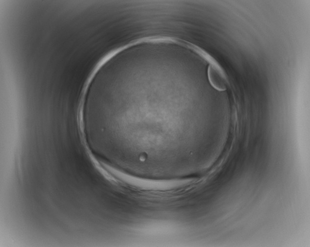 X0000115490959200911131233