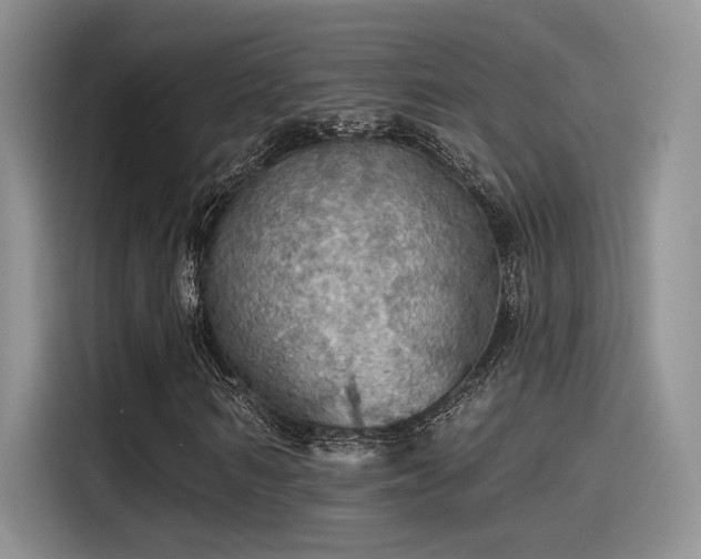 X0000115490962200911131232