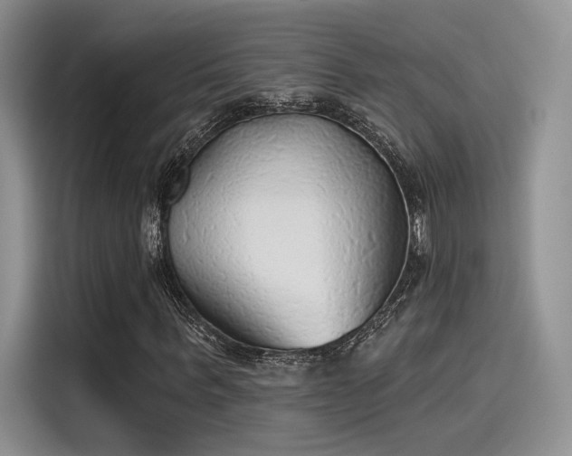 X0000115490963200911131232