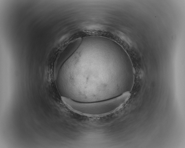 X0000115490965200911131232
