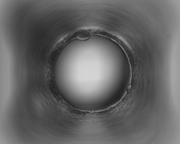 X0000115490967200911131232