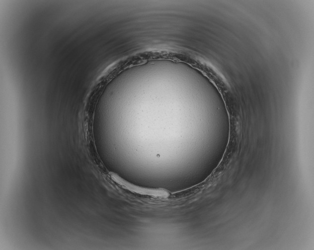 X0000115490968200911131232