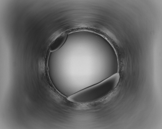 X0000115490969200911131232