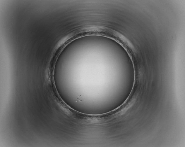 X0000115490970200911131232