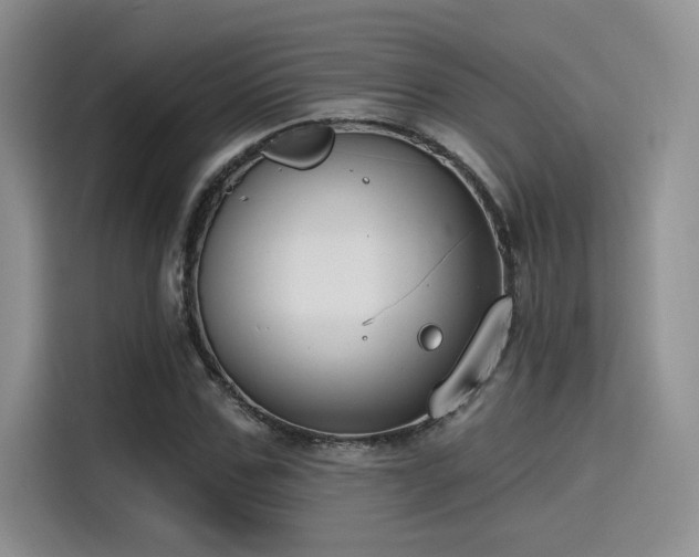 X0000115490971200911131232