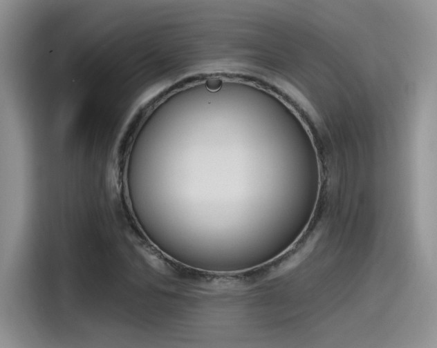 X0000115490974200911131232