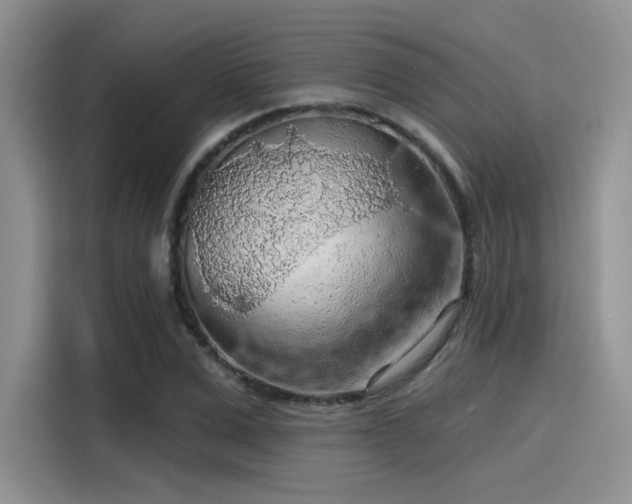 X0000115490975200911131232