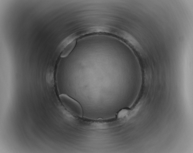 X0000115490977200911131232