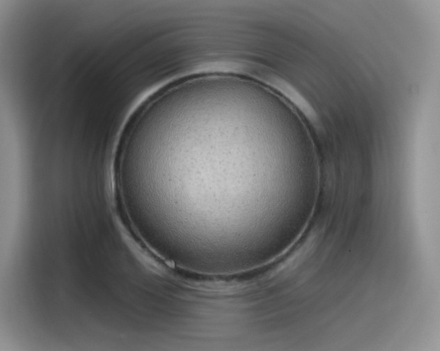 X0000115490980200911131232