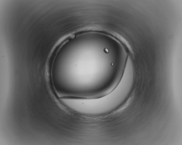 X0000115490981200911131232