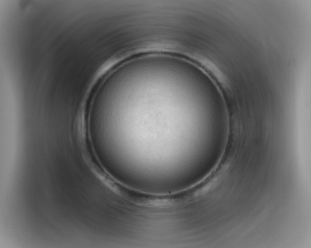 X0000115490982200911131232