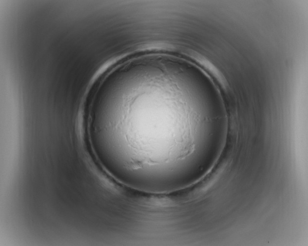 X0000115490983200911131232