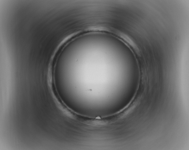 X0000115490984200911131232