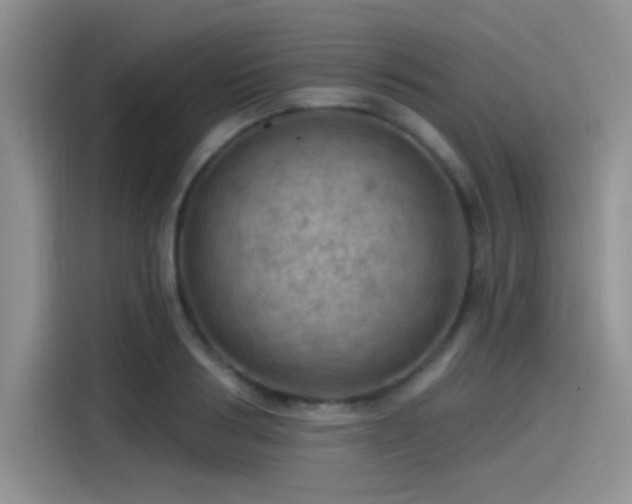 X0000115490986200911131232