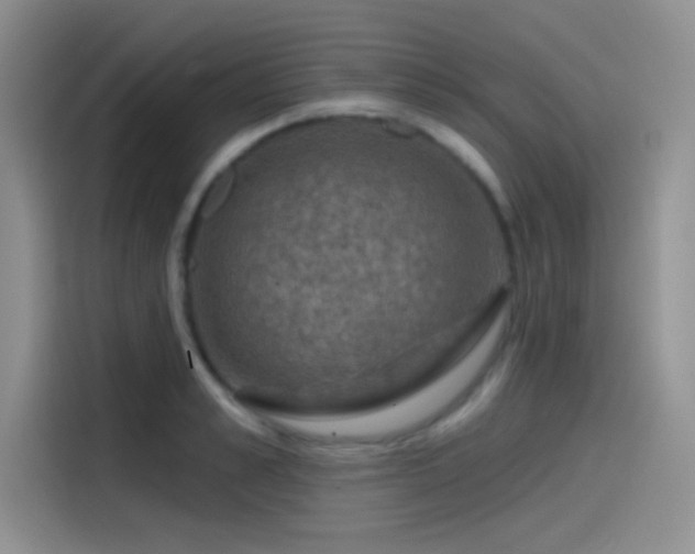 X0000115490989200911131232