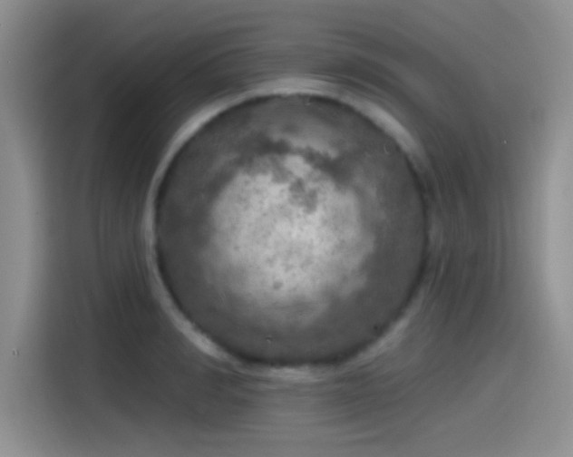 X0000115490990200911131232