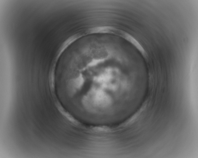 X0000115490994200911131232