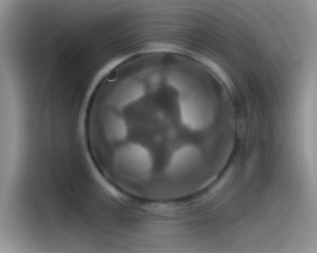 X0000115490995200911131232