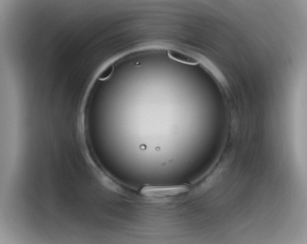 X0000115490996200911131232