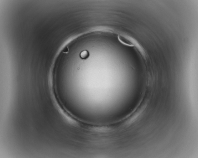 X0000115490999200911131232