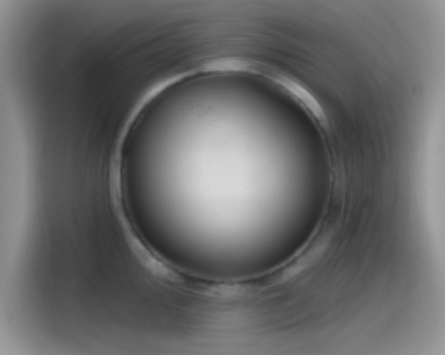 X0000115491000200911131232