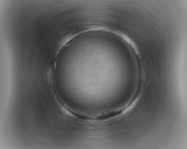 X0000115491001200911131232
