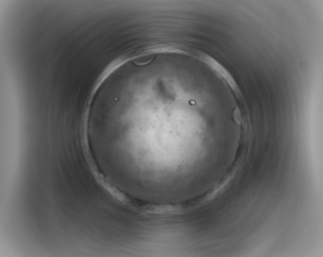 X0000115491002200911131232