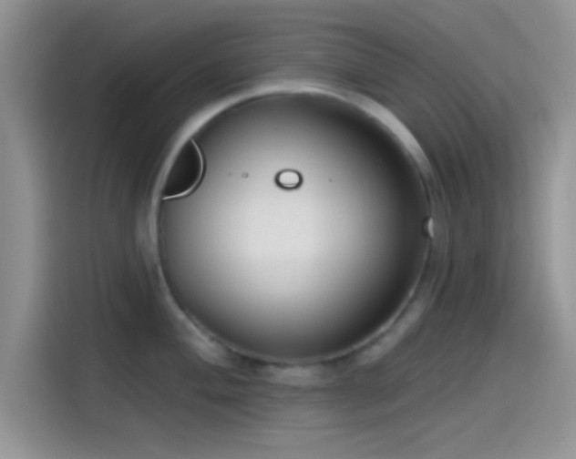 X0000115491004200911131232