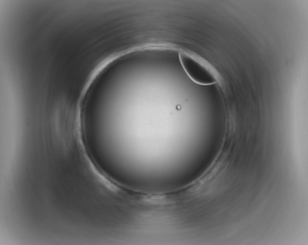 X0000115491006200911131232