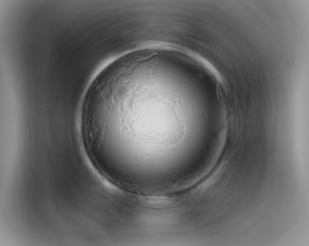 X0000115491007200911131232