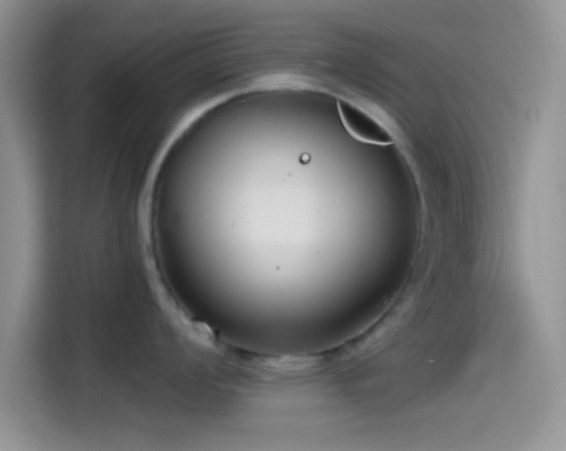 X0000115491008200911131232