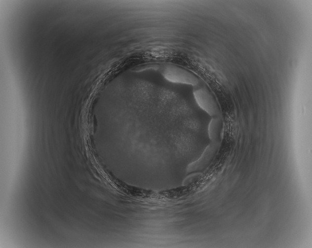 X0000115491009200911131231