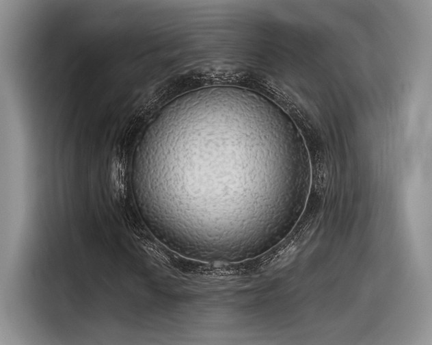 X0000115491010200911131231