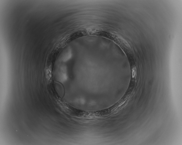 X0000115491011200911131231