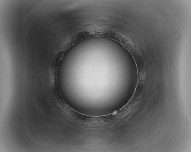 X0000115491012200911131231