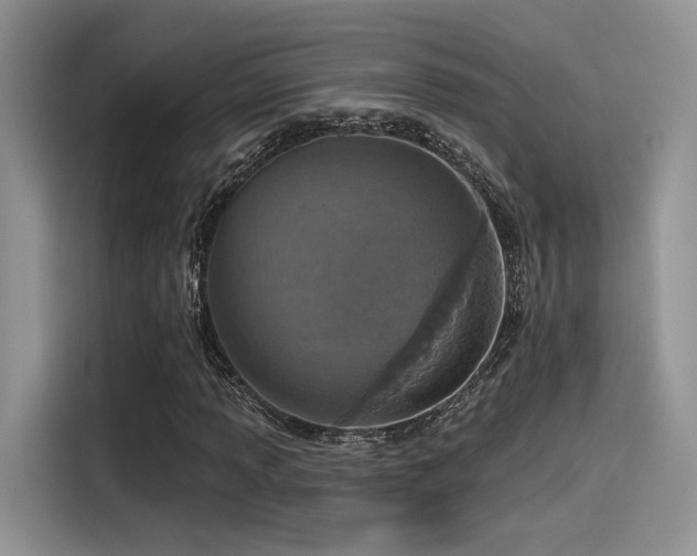 X0000115491013200911131231