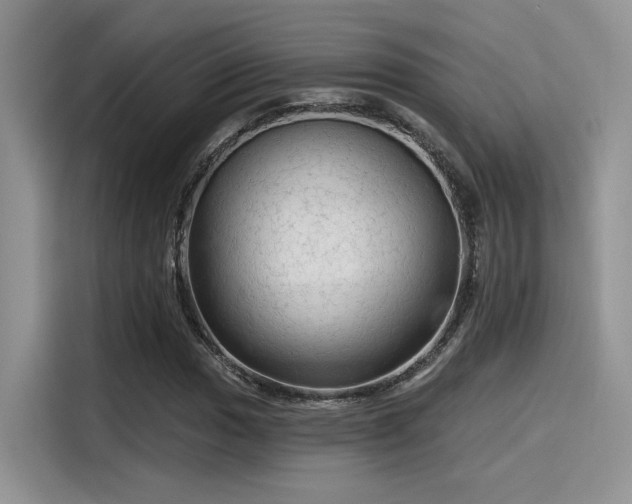 X0000115491017200911131231