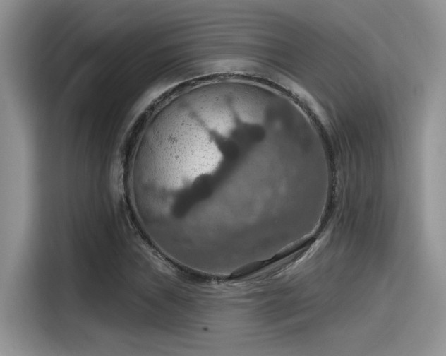 X0000115491019200911131231