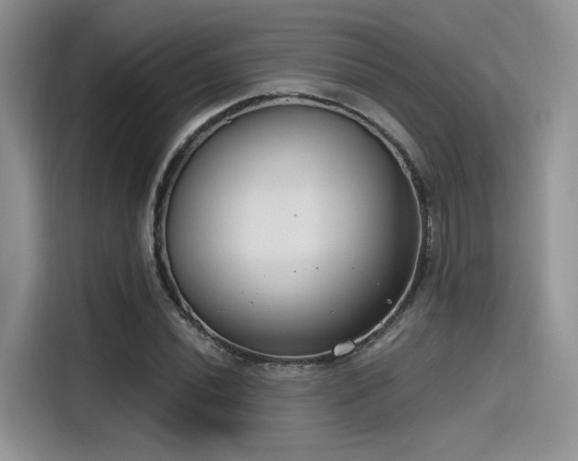 X0000115491020200911131231